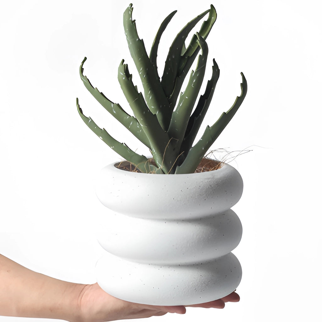 Ceramic round plant pot with houseplant.