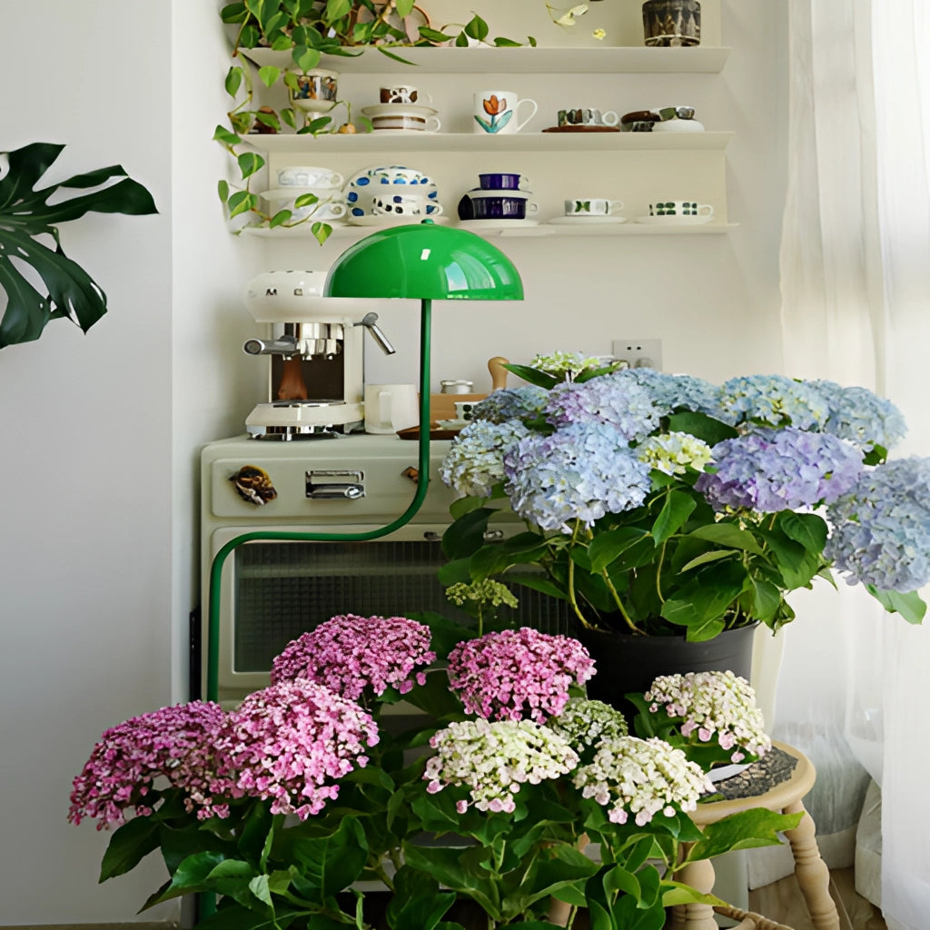 Floor lamp with organic design, featuring a green and white tricolor light, surrounded by green plants and botanical decorations, with additional elements like a picture frame and shelving in the background.