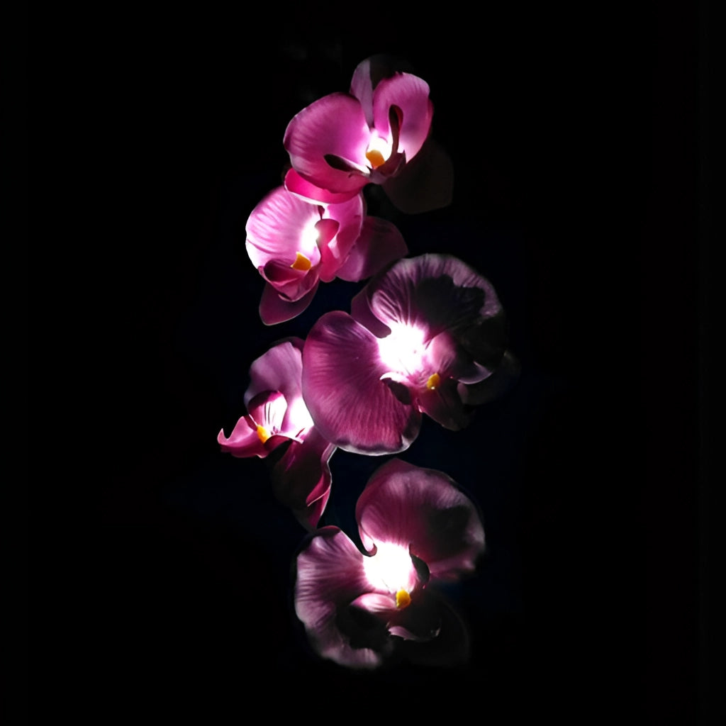 LED Solar Orchid Lights with Color Transition illuminating in darkness - Twin Pack, featuring realistic purple and violet petals with magenta hues.