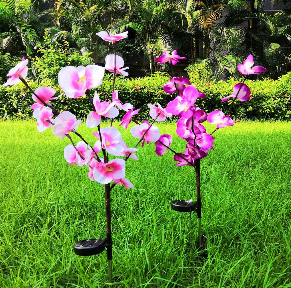 LED Solar Orchid Lights with Color Transition, twin pack, featuring vibrant flowers with realistic petals in a natural outdoor setting among grass and shrubs.