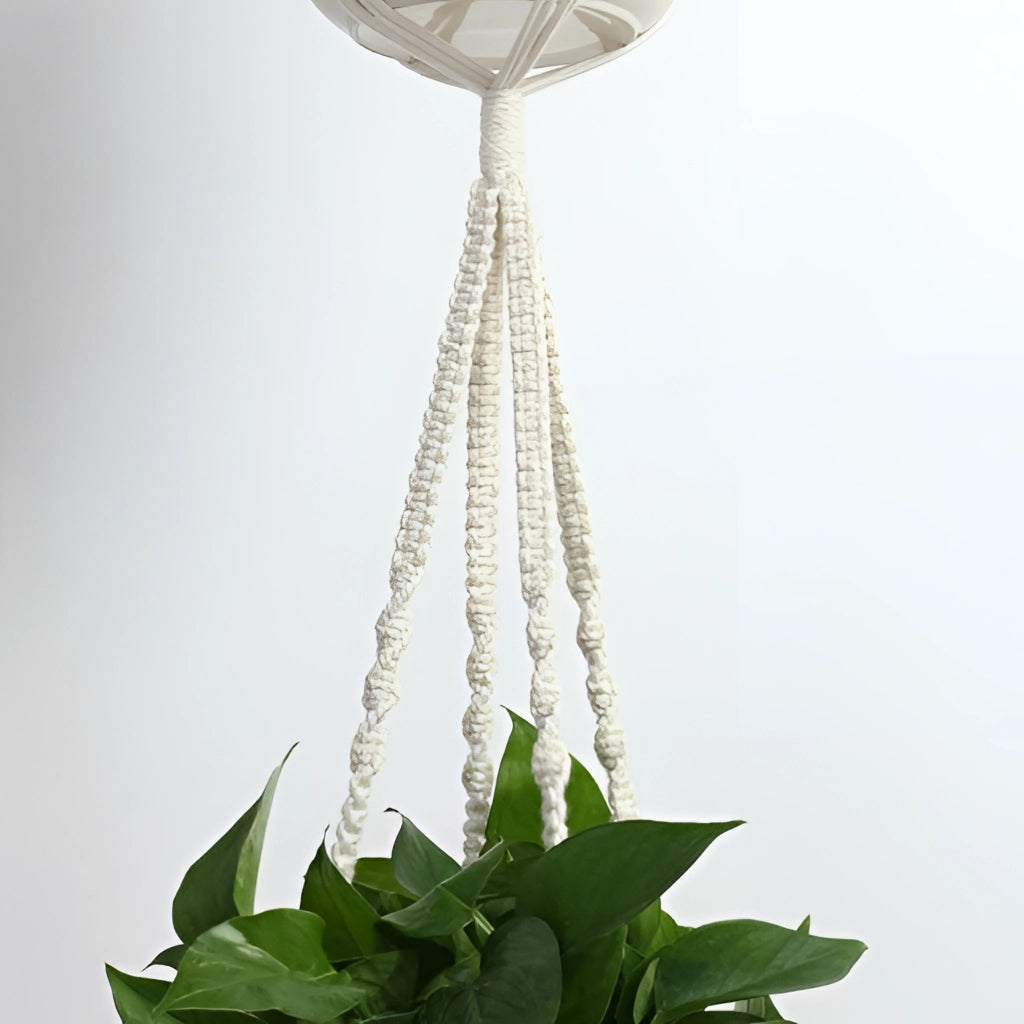 Set of 4 handcrafted macrame plant hangers in Bohemian style, each holding a vibrant green plant against a clear sky backdrop.