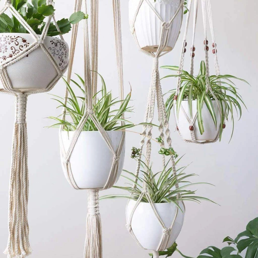 Handcrafted Bohemian style macrame plant hangers set of 4 displaying various houseplants in flowerpots.