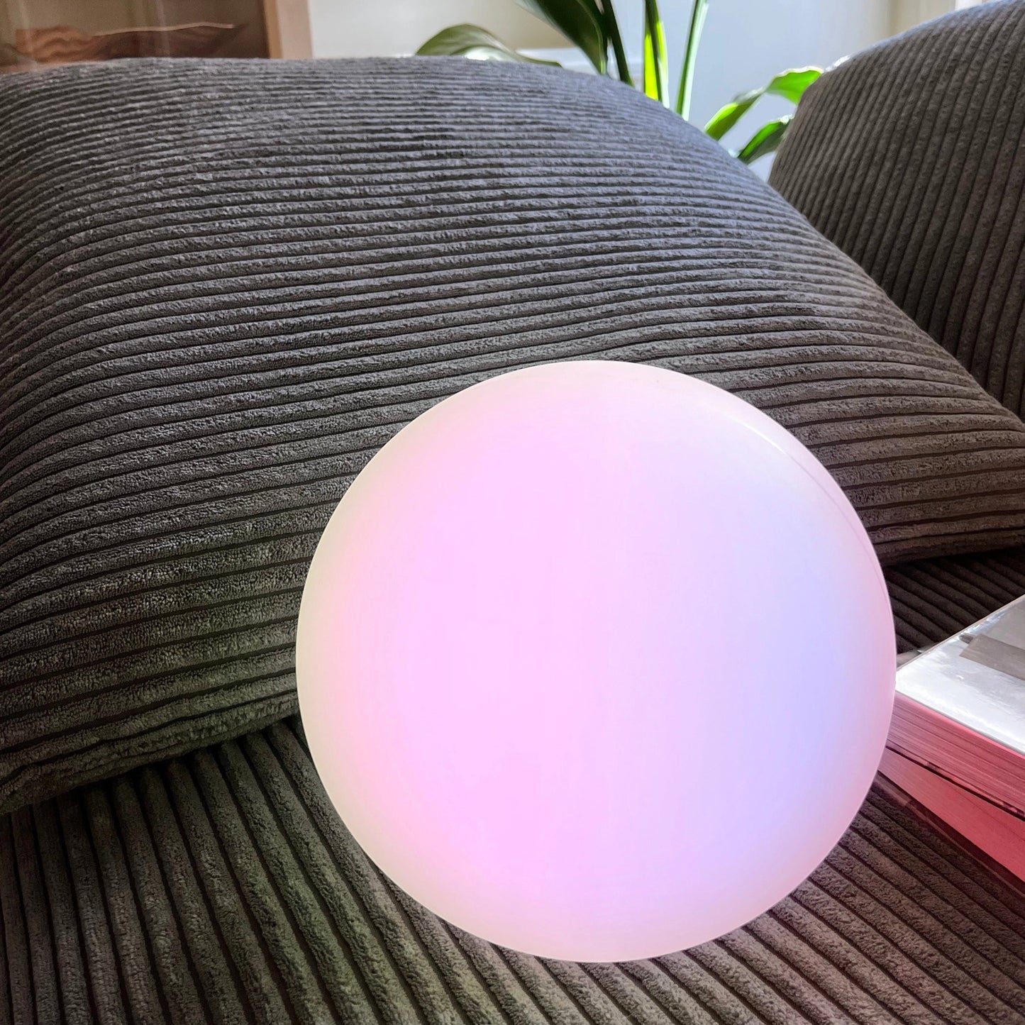 Rechargeable Cordless LED Moon Table Lamp with 16 Color Options, 10 inches, placed on a wooden table next to a small potted plant.