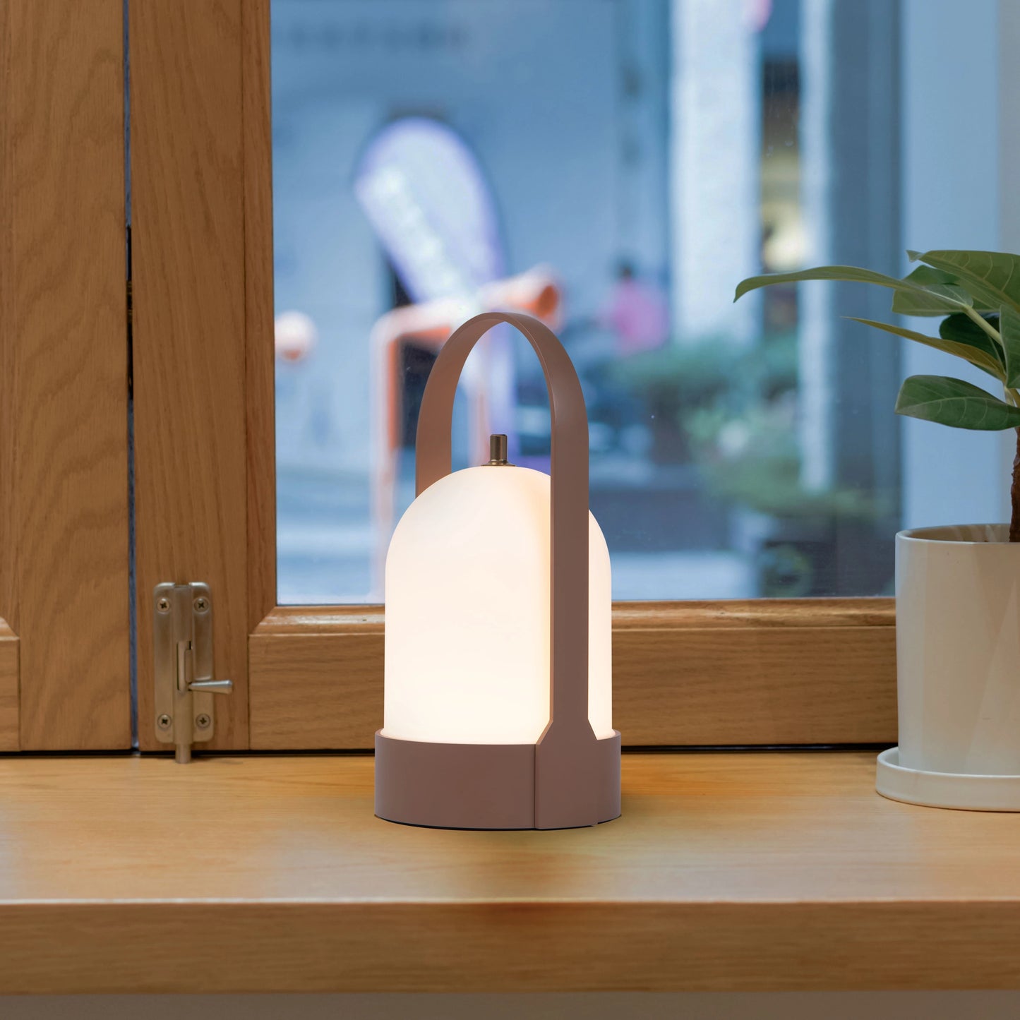 Rechargeable table lamp with touch dimming feature placed on a wooden surface next to a small potted houseplant.