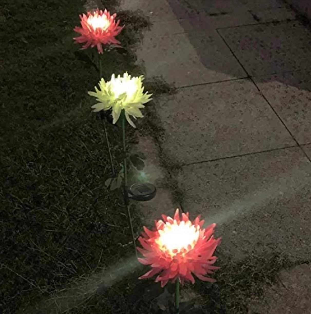 Solar LED Crown Imperial Flower Lights illuminating a pathway with vibrant petals and greenery surrounding the flowers on an asphalt road surface.