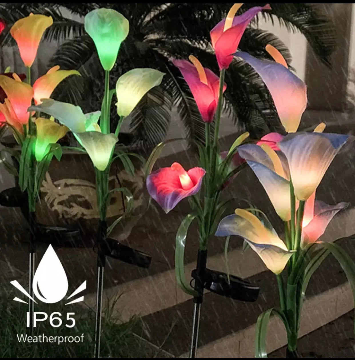 Set of 4 solar lily garden lights with multi-color LEDs illuminated among flowers and leaves in a garden setting.