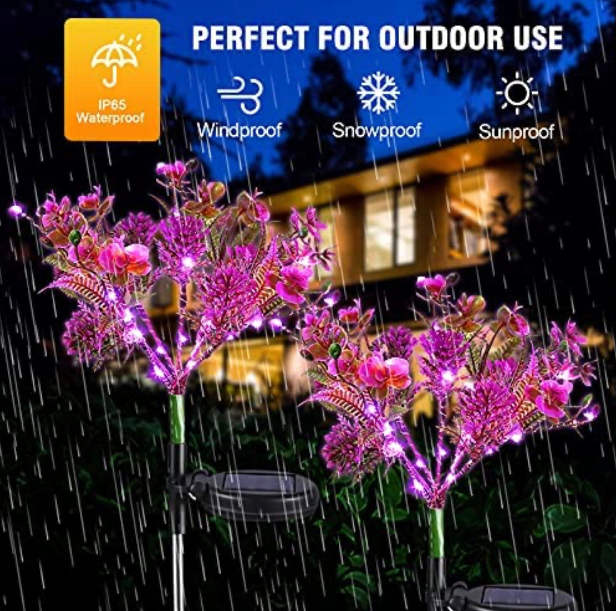 Waterproof Solar Phalaenopsis LED flower lights featuring vibrant purple petals illuminated, placed near a window.