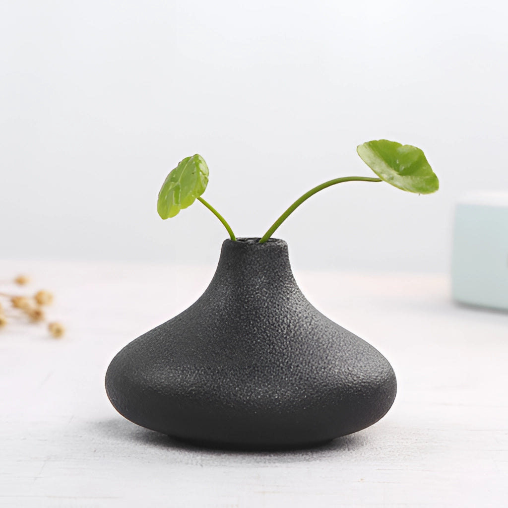 A sleek black ceramic vase containing a vibrant houseplant with green leaves, perfect for home and garden decoration.