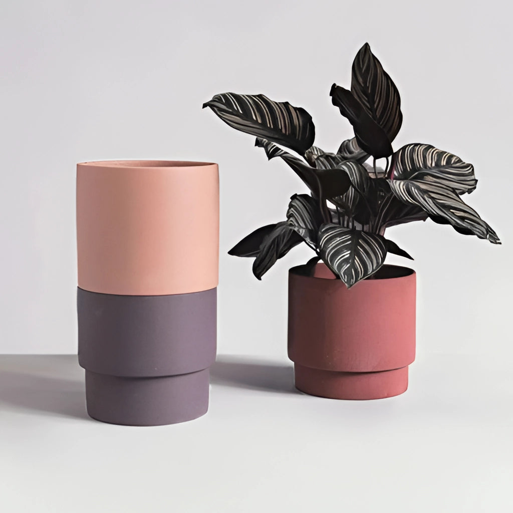 Bright porcelain stackable flowerpot planters with houseplants, featuring vibrant flowers and lush green leaves.