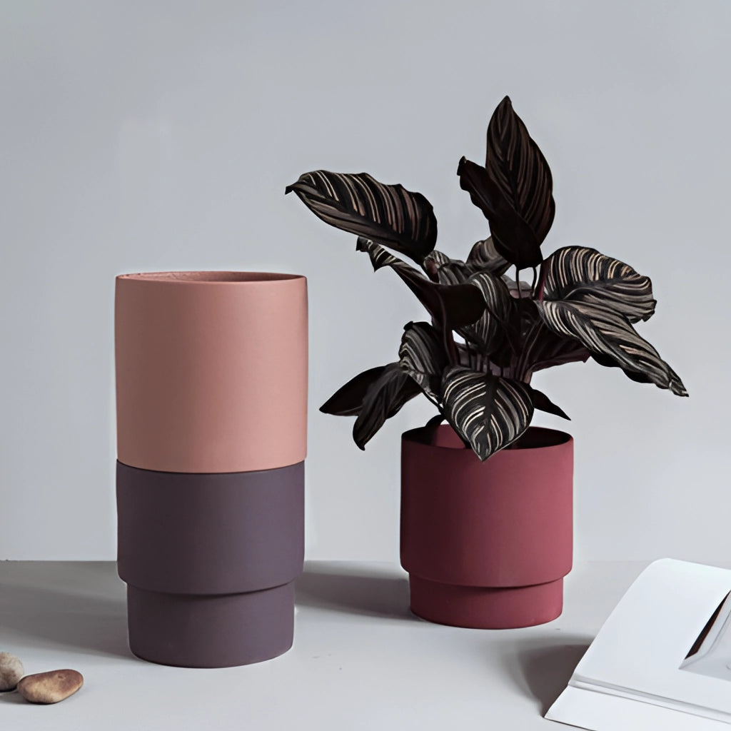 Stackable porcelain flowerpot planters in rose tones displayed with houseplants on a wooden table.