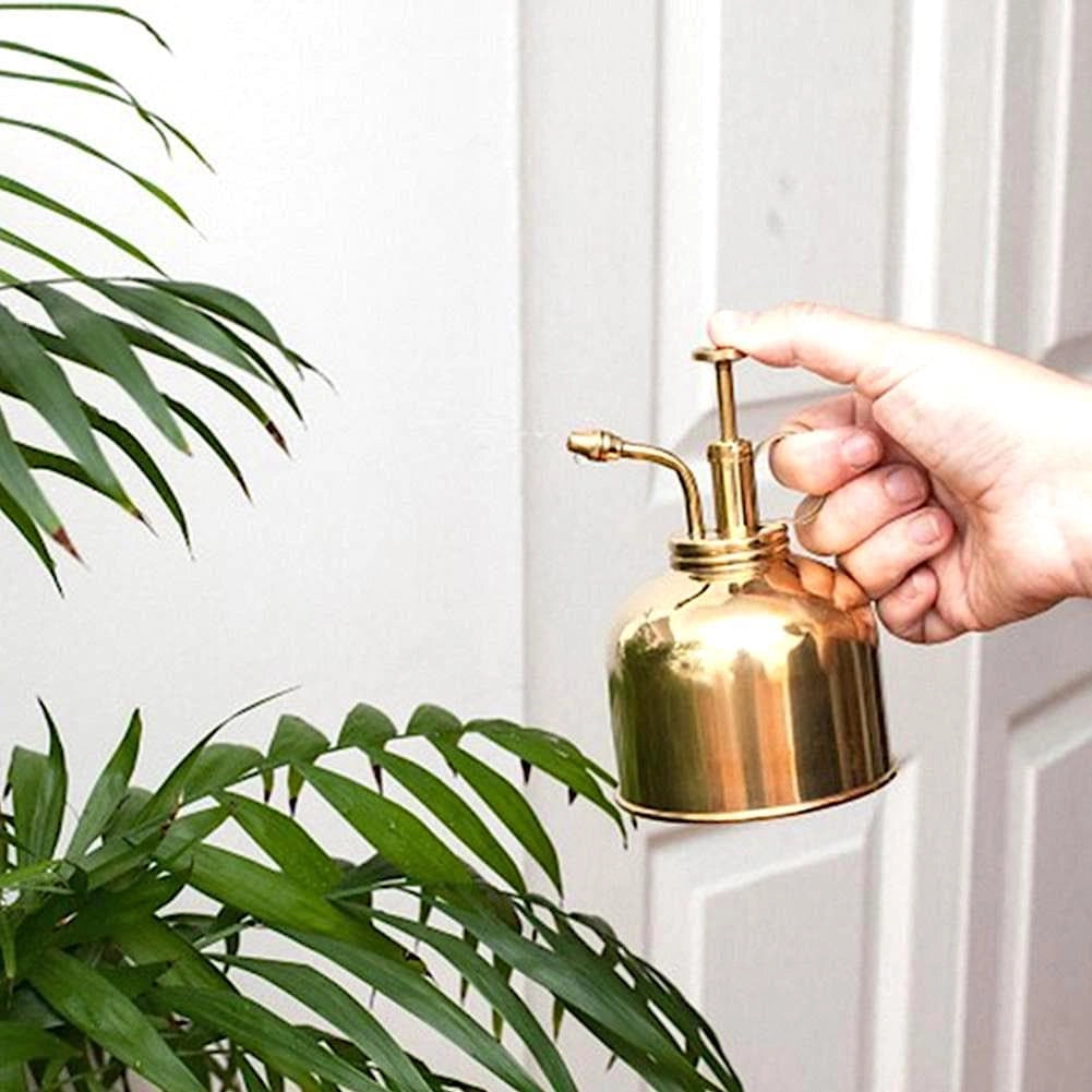 Vintage brass mist sprayer for plants, displayed near a houseplant on a wooden surface, with a bronze finish.