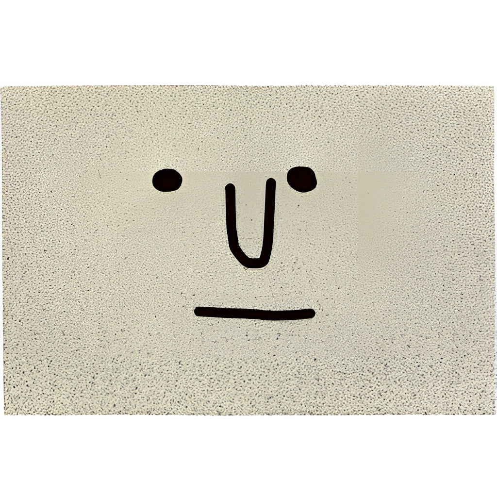 Cartoon design indoor outdoor rug featuring a happy face with big eyes and a big nose, in a large rectangle size.