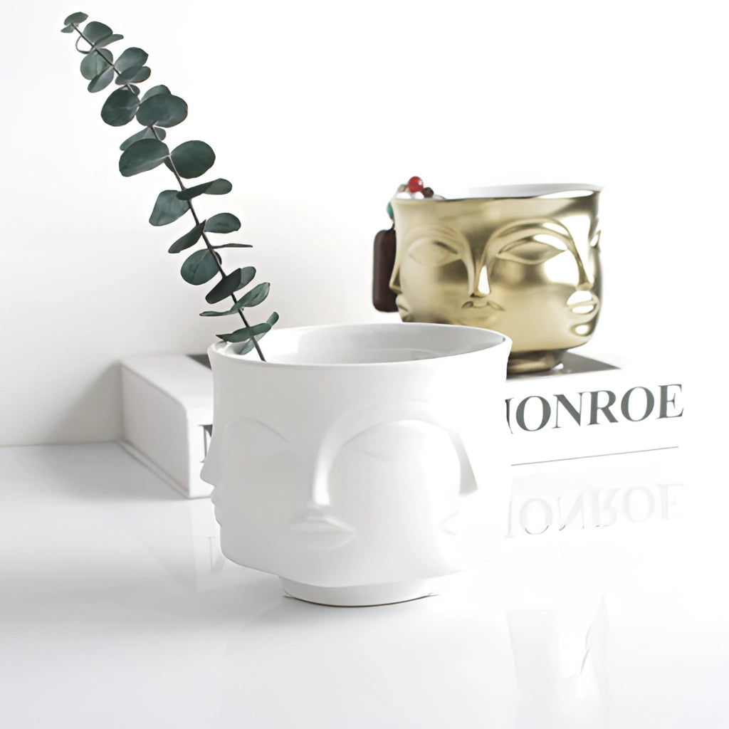 A modern ceramic flowerpot with a minimalist face design, ideal for succulents, placed on a tabletop.