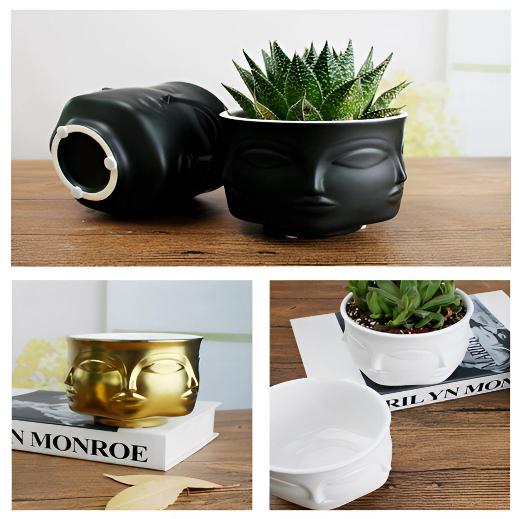 A modern ceramic flowerpot with a face design, containing a green succulent plant, ideal for houseplants, rectangular in shape.