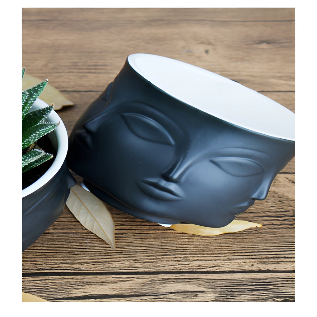 Ceramic face design flowerpot with modern succulent planter on a wooden surface.