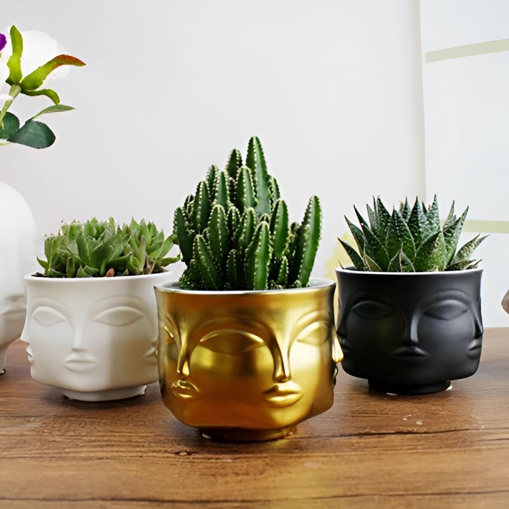 Ceramic face design flowerpot with a modern succulent planter, featuring a houseplant on a table.