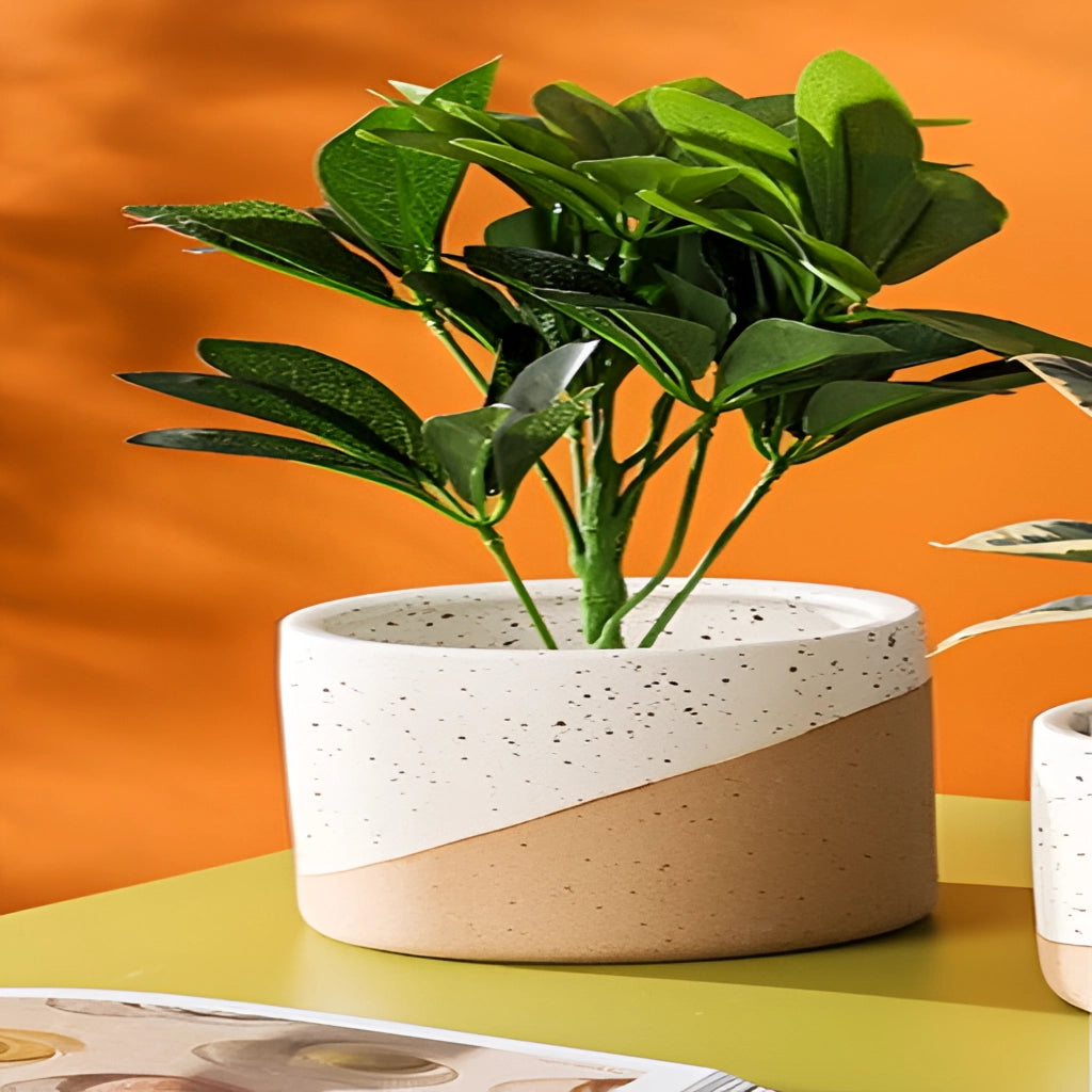 Small, medium, and large ceramic flowerpots in linen color, each with a lush houseplant growing inside.