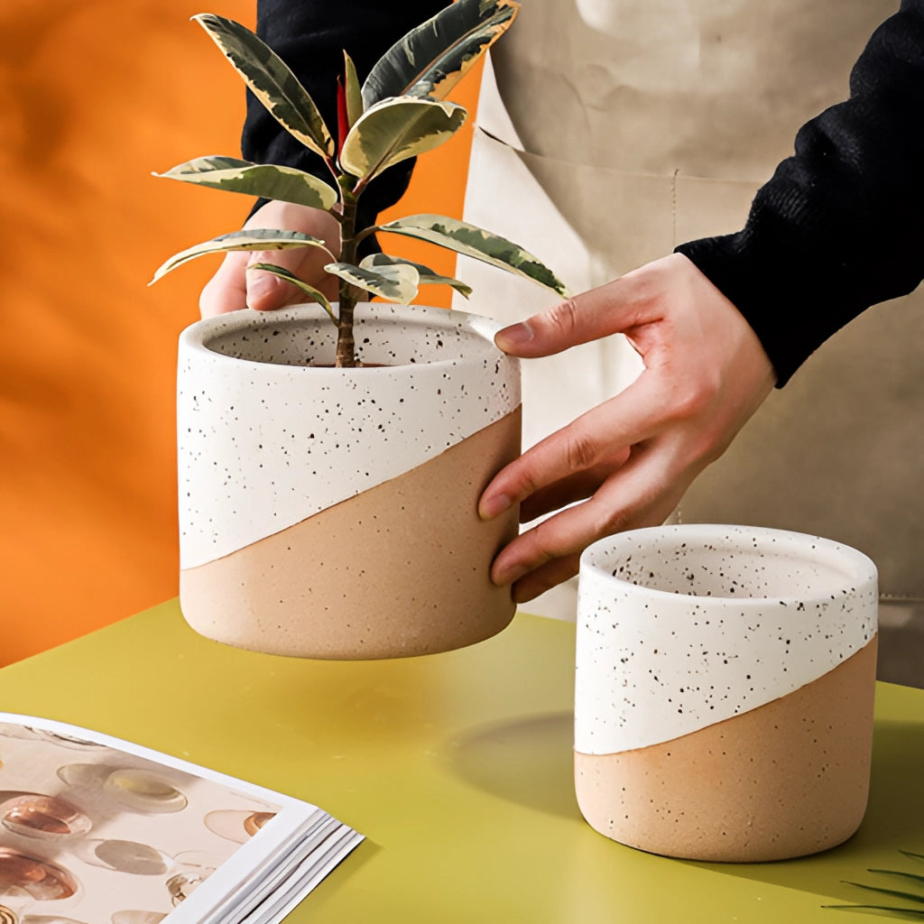 A set of three ceramic flowerpots in linen color, displaying small, medium, and large sizes, each holding a houseplant.