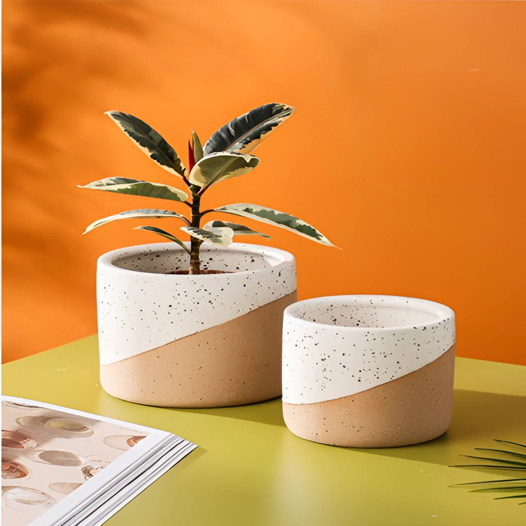Ceramic flowerpot in linen finish with a vibrant houseplant, available in small, medium, and large sizes.