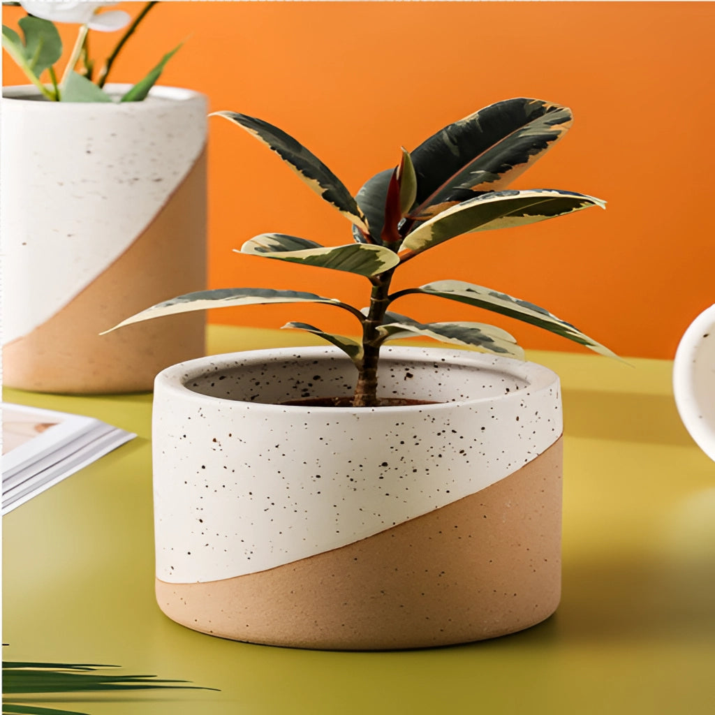 A small, medium, and large ceramic flowerpot in linen color containing a lush green houseplant with broad leaves, displayed indoors.