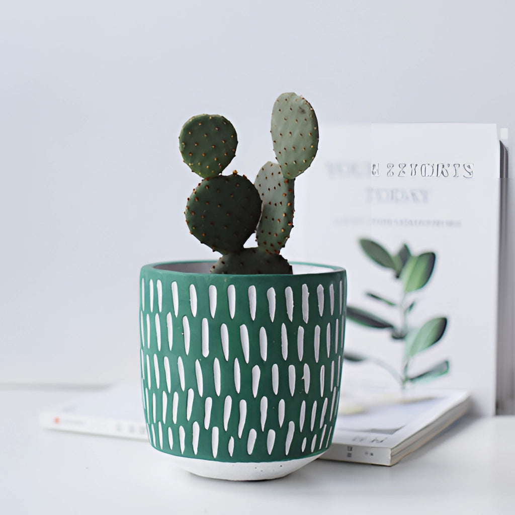 Hand-painted ceramic planters with textured designs, displayed on a table, featuring an array of plants.