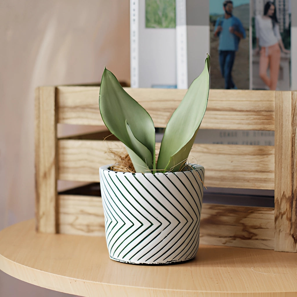 Ceramic hand-painted planter with a houseplant, placed on a wooden table, featuring intricate textured designs and adding a touch of elegance to the interior decor.