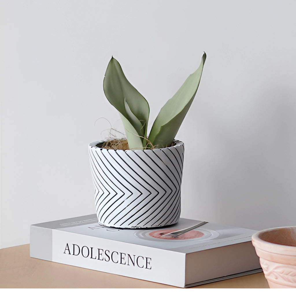 Hand-painted ceramic planter featuring textured designs, housing a vibrant houseplant.