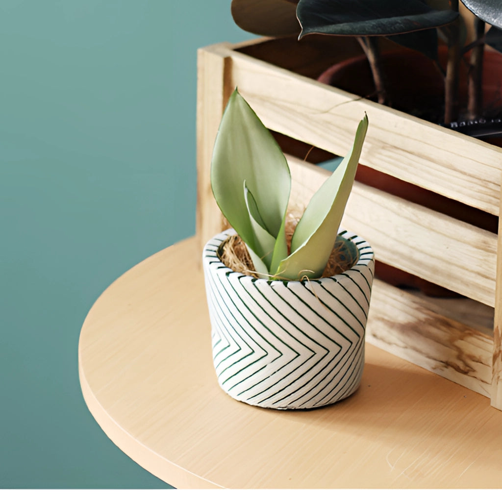 Ceramic hand-painted planters with textured designs, containing houseplants, placed on a wooden table.