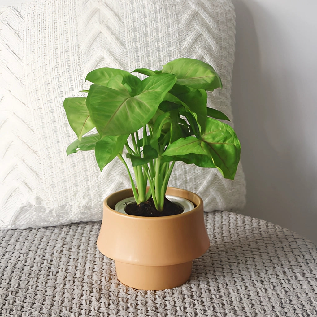 Ceramic planter in rosa with glazed finish, Scandinavian style pot in camel color, featuring a houseplant.