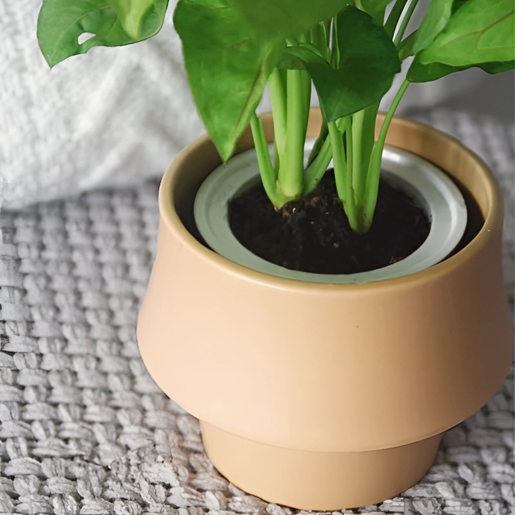 Ceramic planter in rosa with a glazed finish, holding a green houseplant.