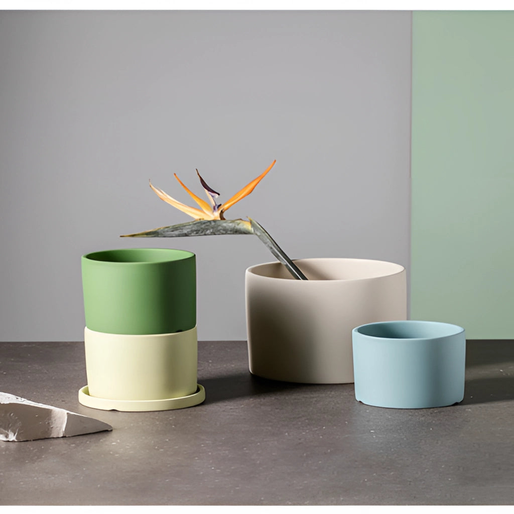 A colorful ceramic planter and saucer set placed on a wooden table with a background wall and a circular insect-shaped decor.