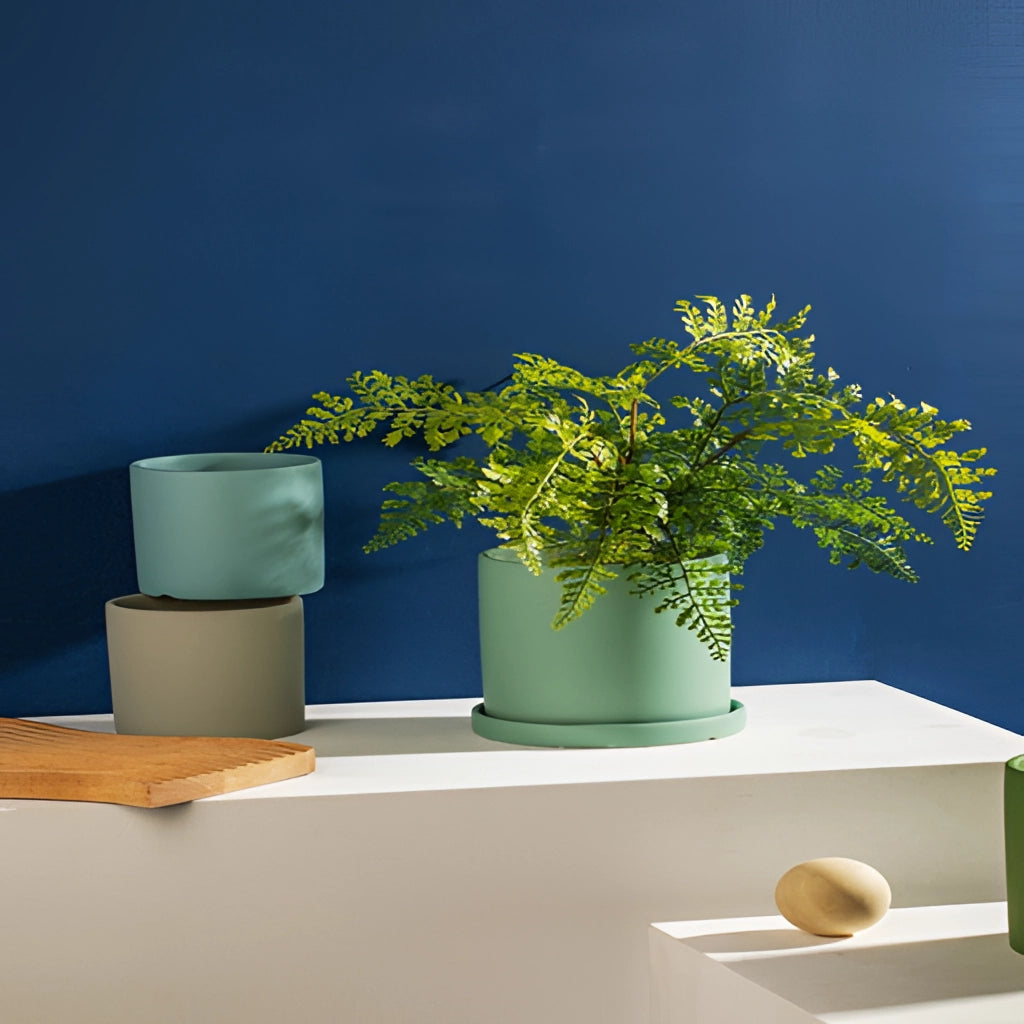 Colorful ceramic planter and saucer set with a houseplant on a wooden table, showcasing interior design elements including shelving.