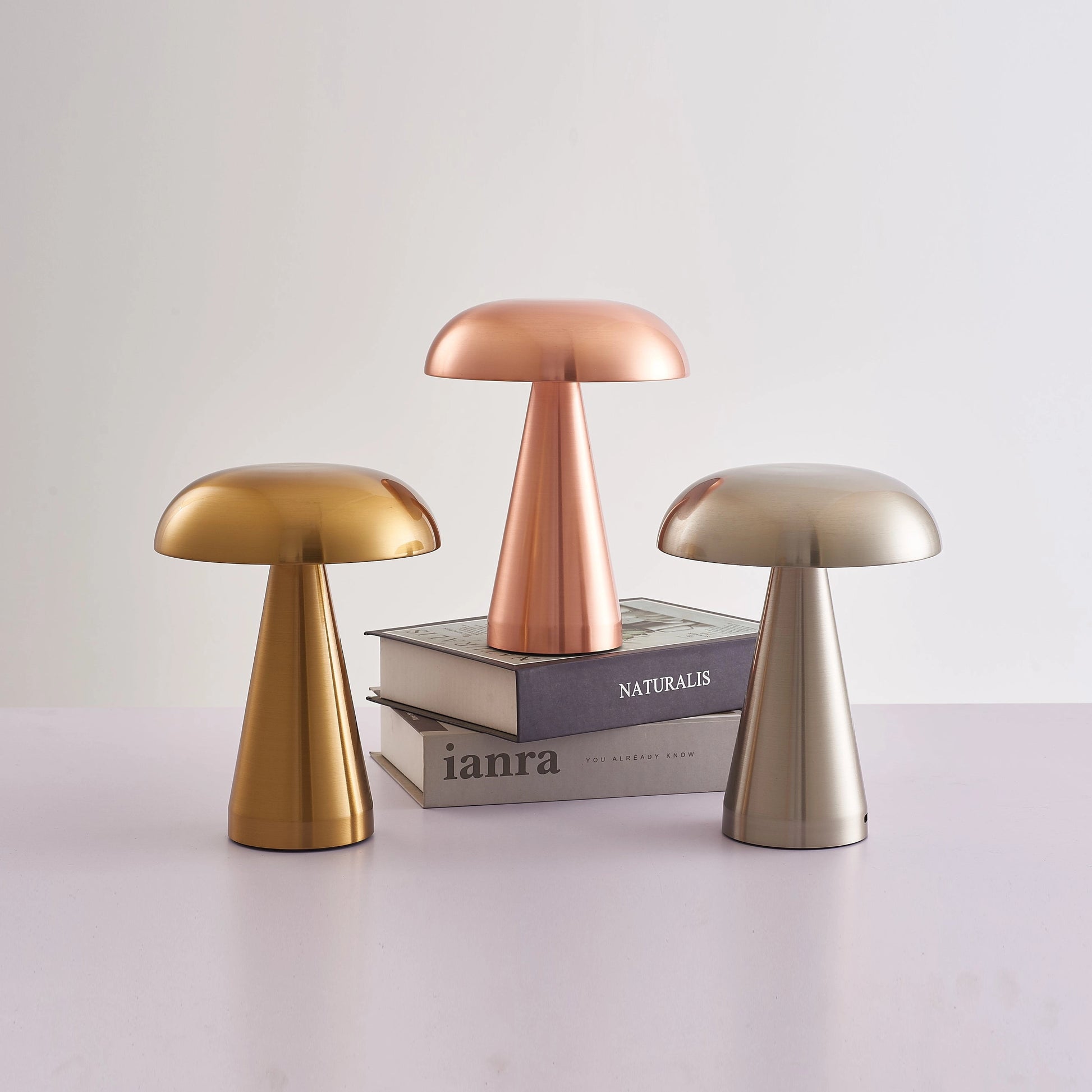 Cordless Mushroom LED Table Lamp with Steepless Dimming and Long Battery Life, featuring a wooden base and a mushroom-shaped top, ideal for home decor.