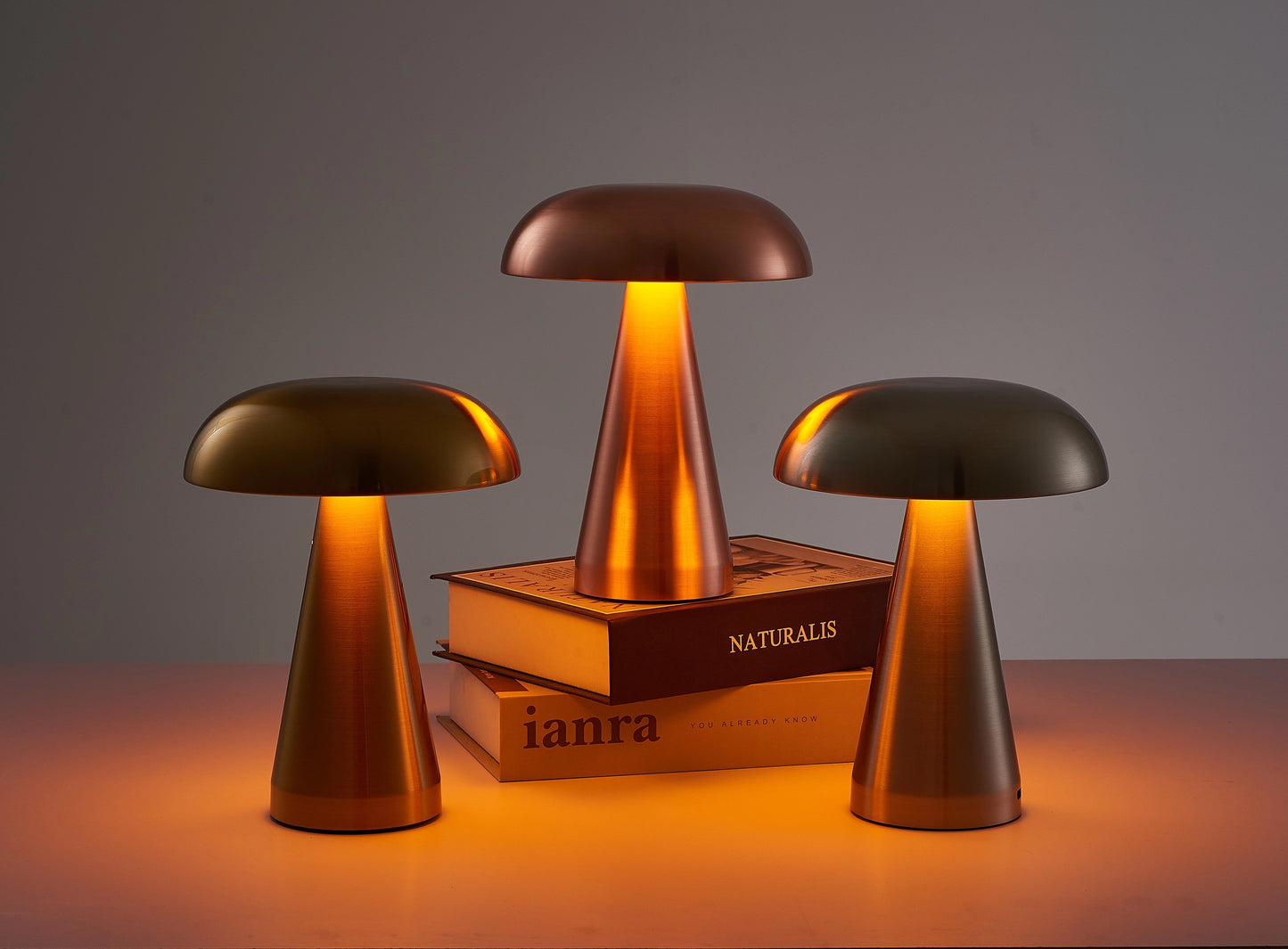 Cordless Mushroom LED Table Lamp with stepless dimming feature and long battery life, placed on a table.