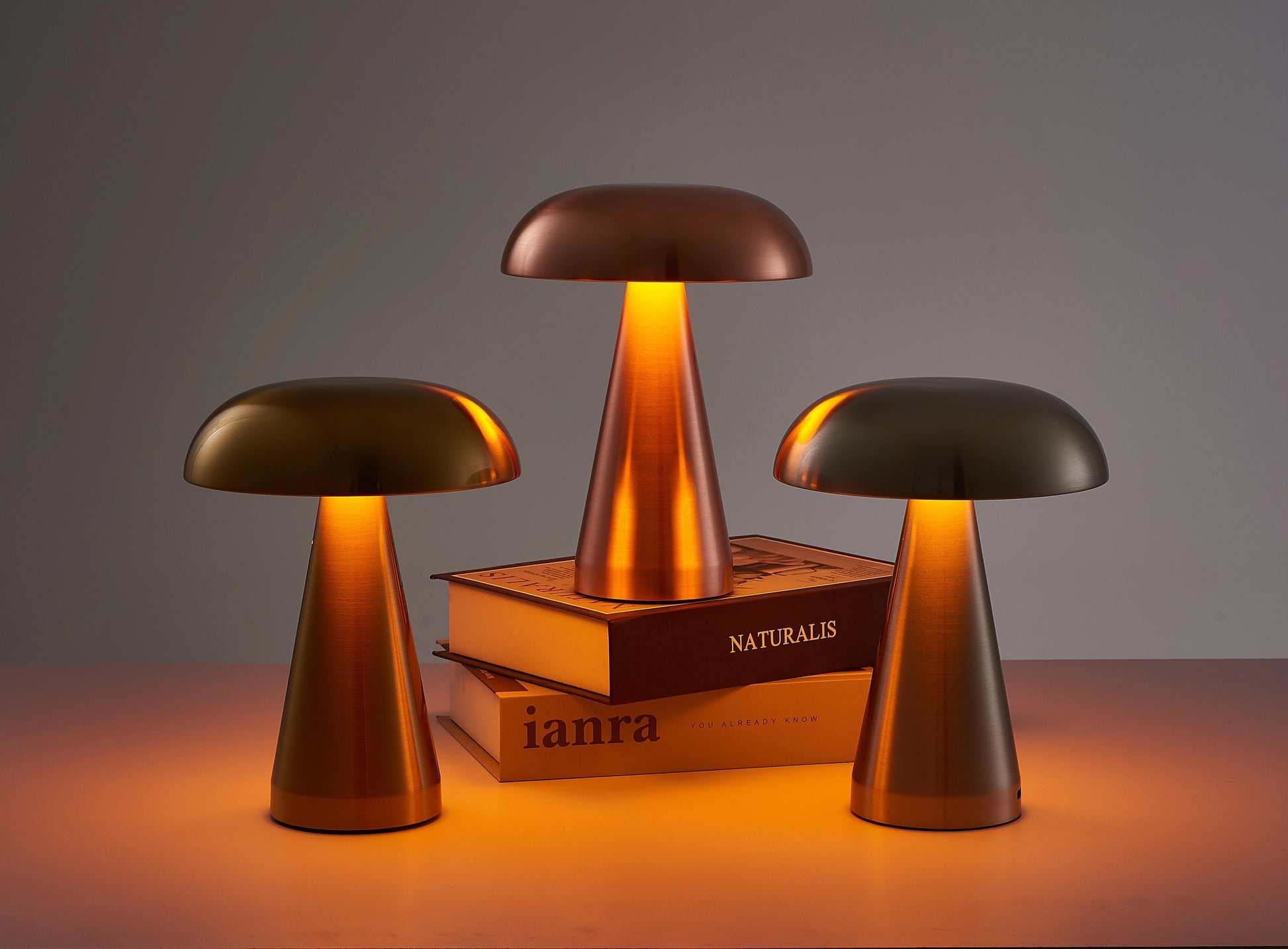 Cordless Mushroom LED Table Lamp with stepless dimming feature and long battery life, placed on a table.