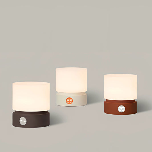 A sleek cordless table lamp with a rectangular base, featuring adjustable brightness settings, placed on a wooden surface next to a small potted plant, and various decorative items including jewelry and fashion accessories.