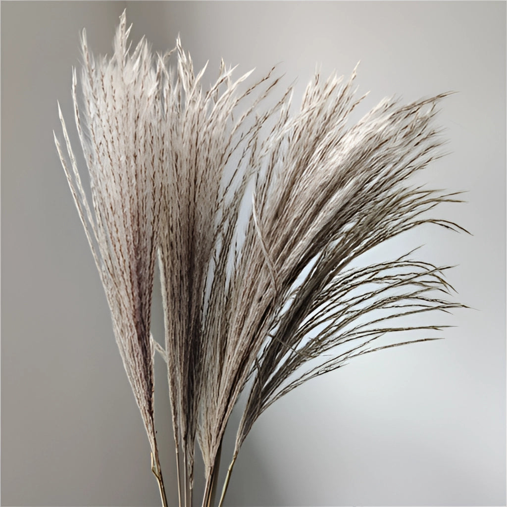A 30-piece set of dried pampas grass flowers, featuring natural twigs and grass, ideal for interior decoration.