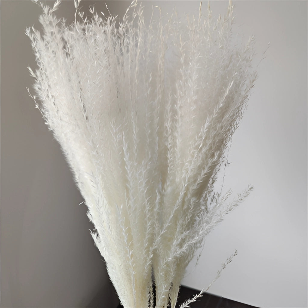 A 30-piece set of dried pampas grass flowers arranged for interior decoration, showcasing long, feathery plumes and natural textures.