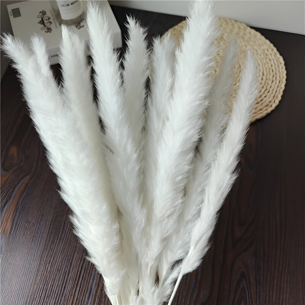 A 30-piece set of dried pampas grass flowers arranged in a stylish interior decoration kit. The natural materials showcase feathery plumes, adding a soft, woolen texture to any room.