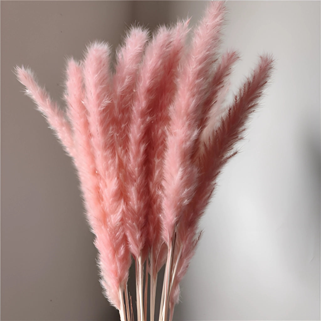 A 30-piece set of dried pampas grass flowers arranged for interior decoration, featuring natural tones and textures.