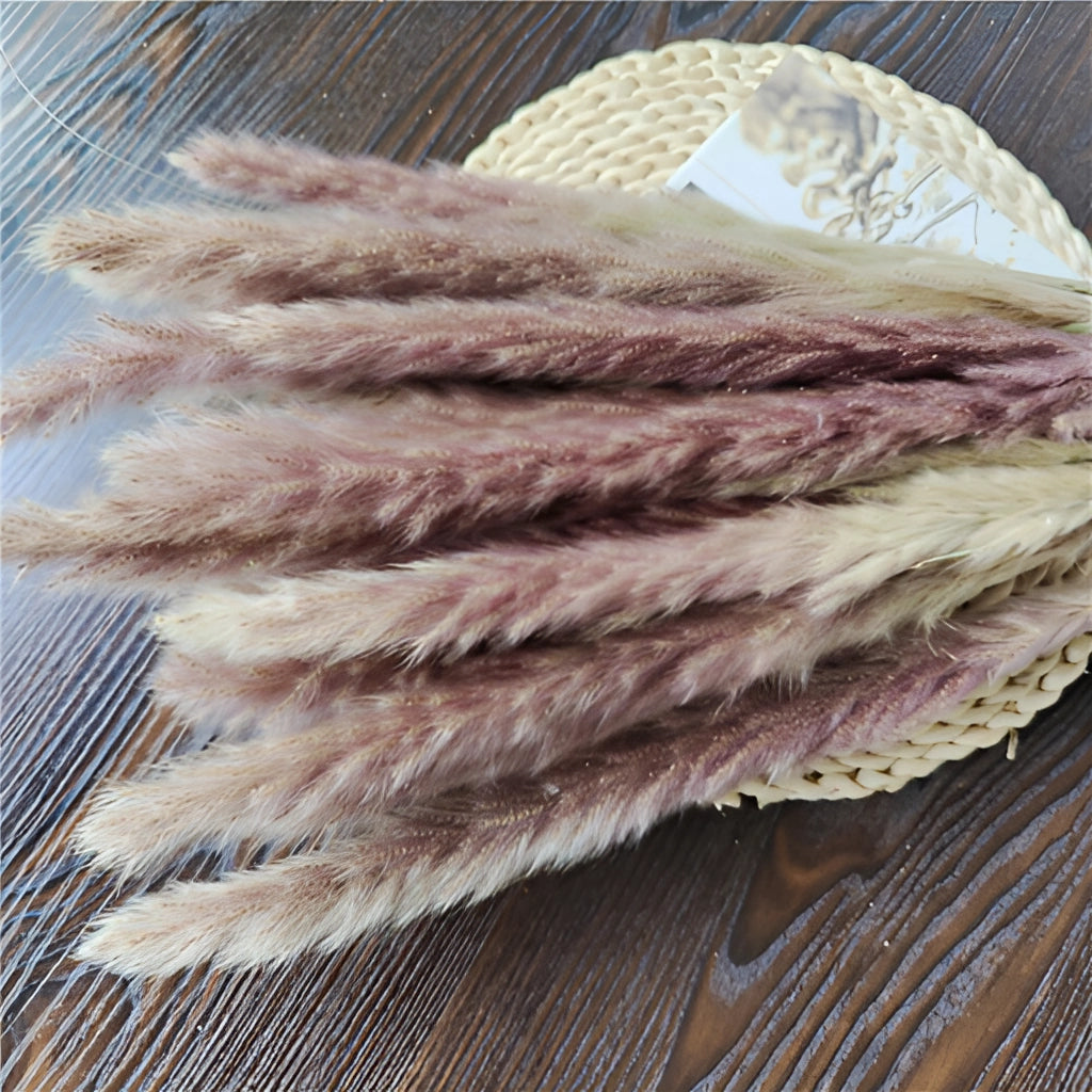 A 30-piece set of dried pampas grass flowers in varying shades, used for interior decoration.