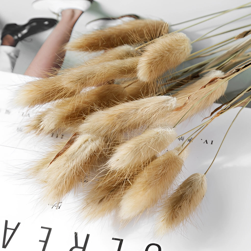 A set of 30 dried pampas grass flowers arranged for interior decoration, featuring tall, feathery plumes in natural hues.