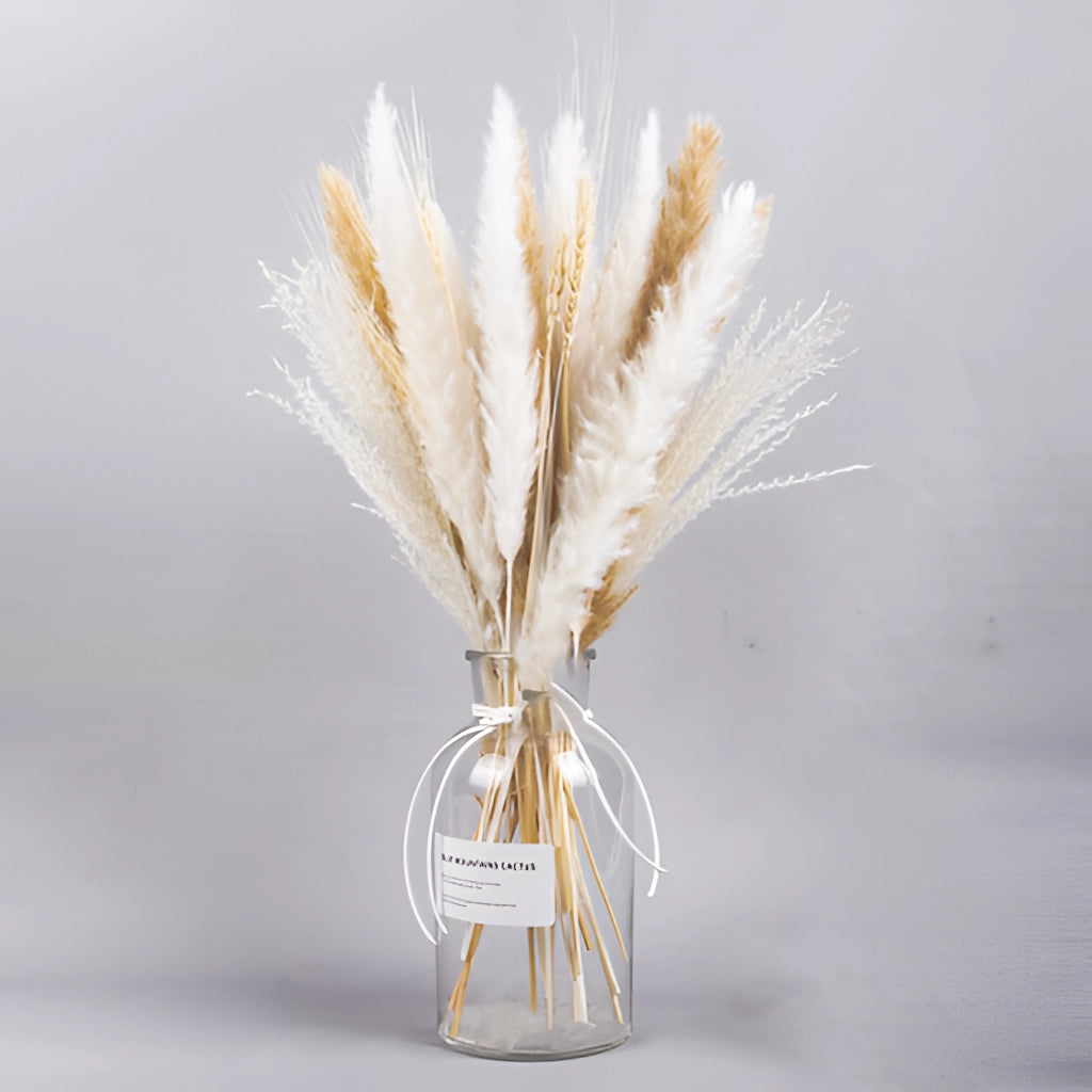 A 30-piece set of dried pampas grass flowers arranged in an elegant display, showcasing natural feathery textures, perfect for interior decoration.