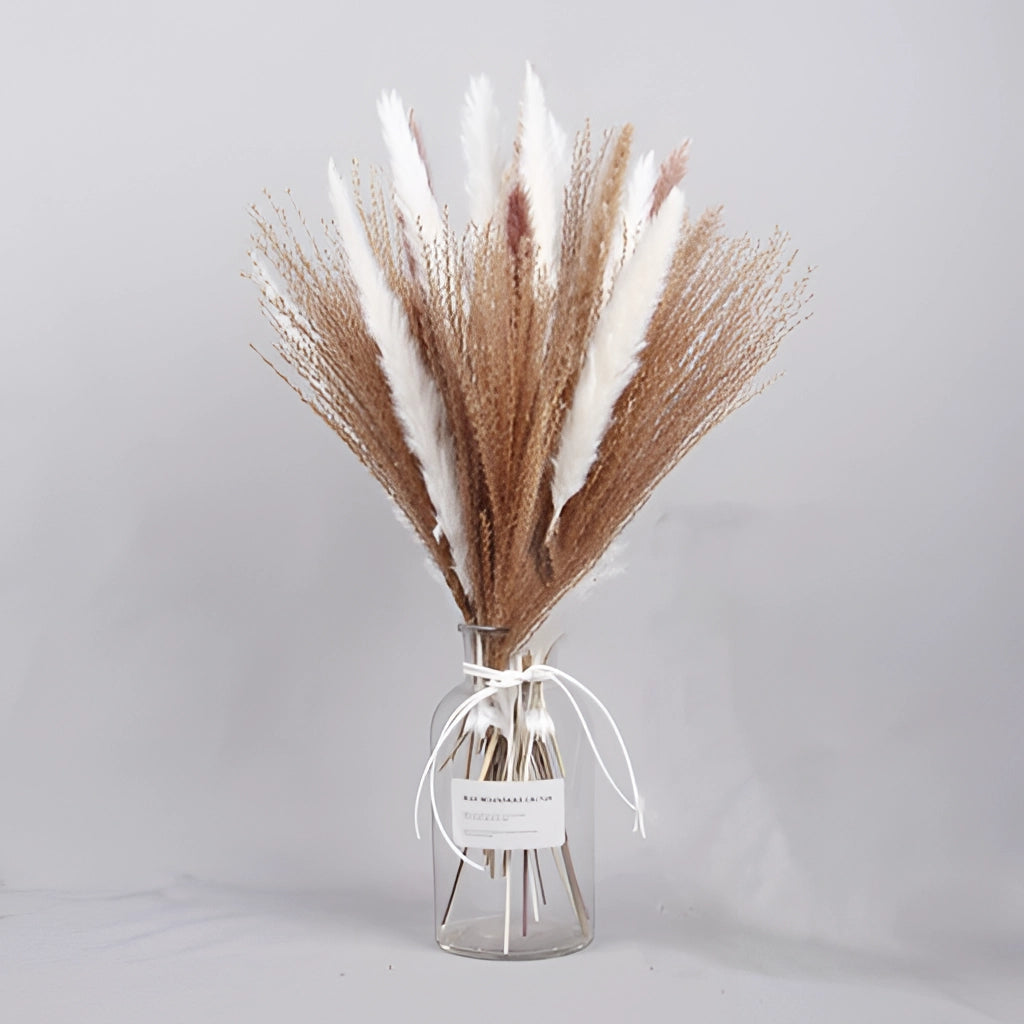 A set of dried pampas grass flowers arranged as an interior decoration, featuring 30 pieces in varying heights and shades, displayed in a minimalist setting.