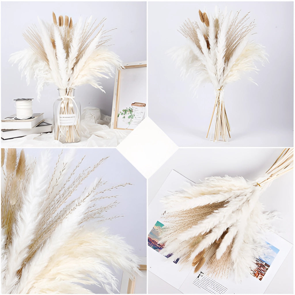 A set of 30 dried pampas grass flowers in a mix of beige and white tones, arranged for interior decoration.