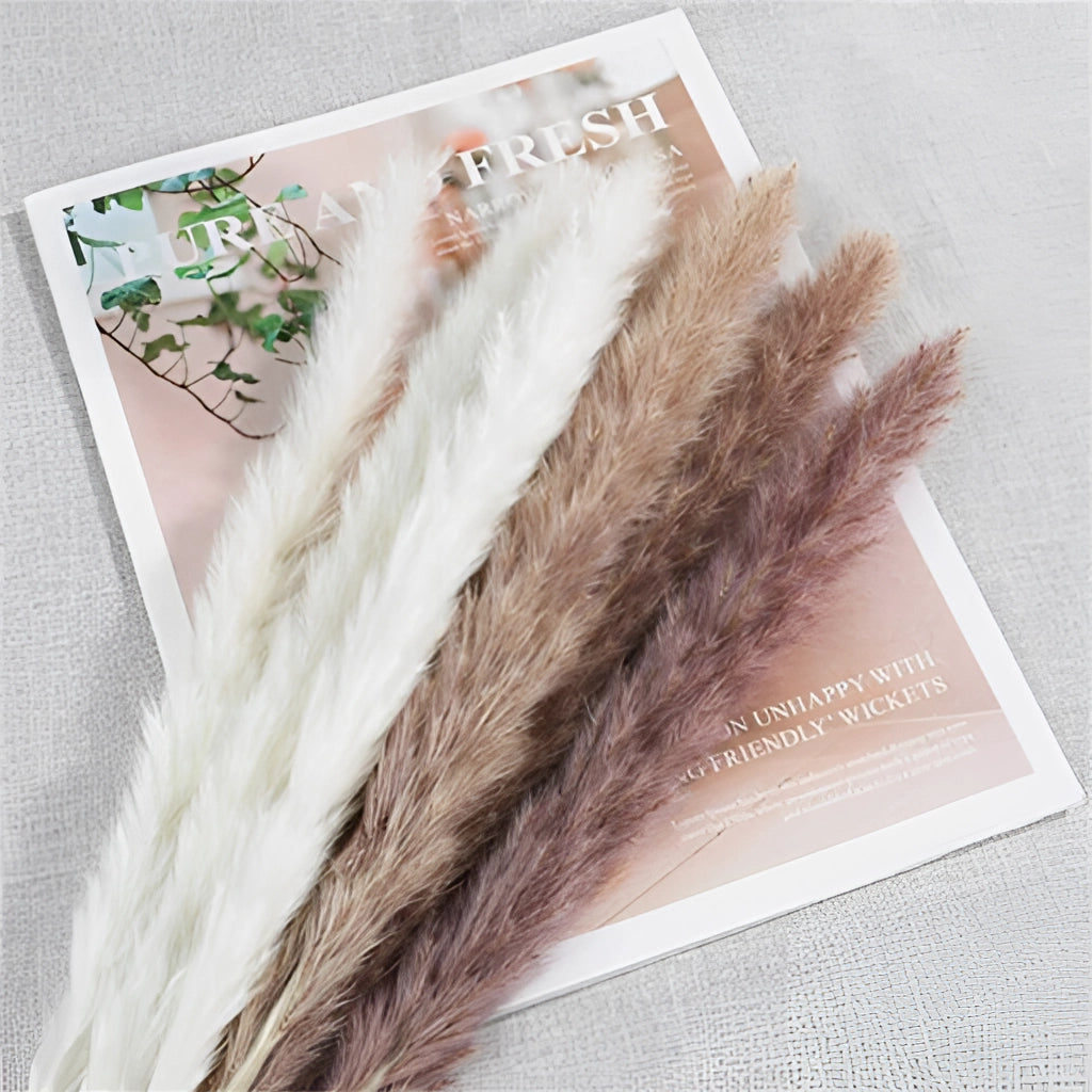 A 30-piece set of dried pampas grass flowers used for interior decoration, featuring natural brown tones and delicate feather-like textures.