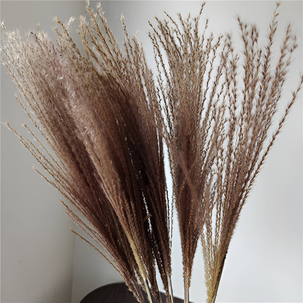 Dried pampas grass flowers set, arranged in a decorative 30-piece interior decoration kit, featuring natural beige and brown tones, displayed against a neutral background.