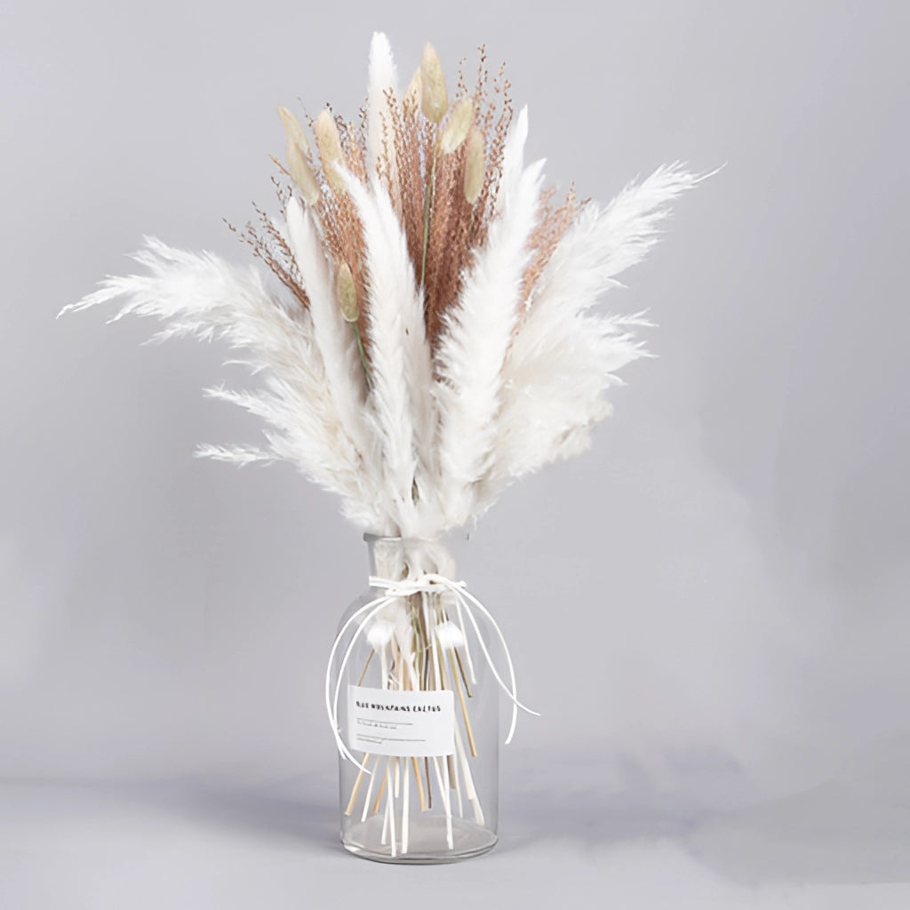 A set of 30 dried pampas grass flowers arranged for interior decoration.
