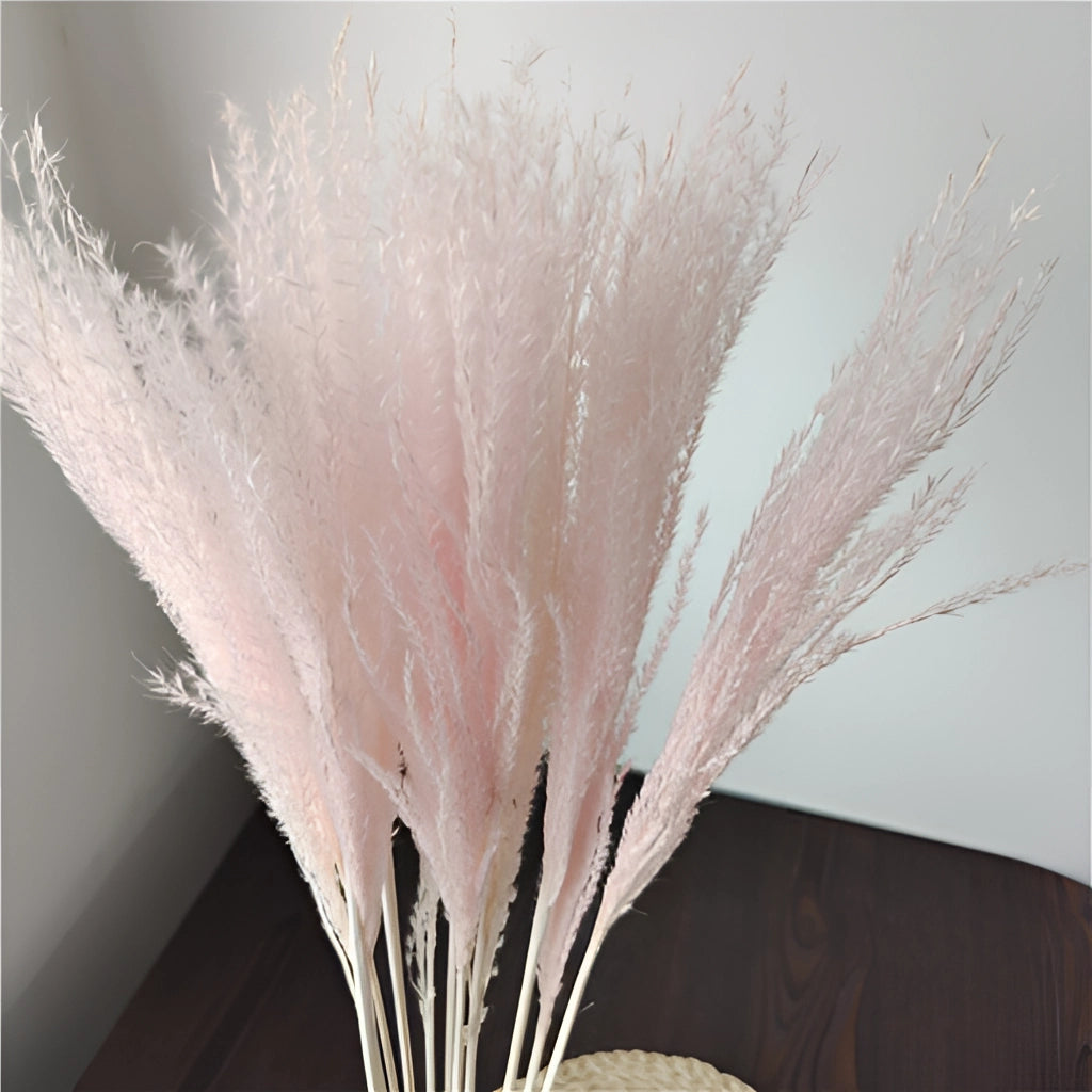 A 30-piece set of dried pampas grass flowers with natural feathery textures, perfect for interior decoration.