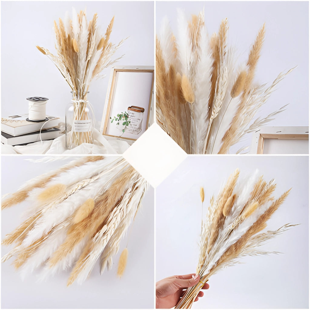 A 30-piece set of dried pampas grass flowers for interior decoration, featuring natural, feather-like branches and twigs from the grass family.